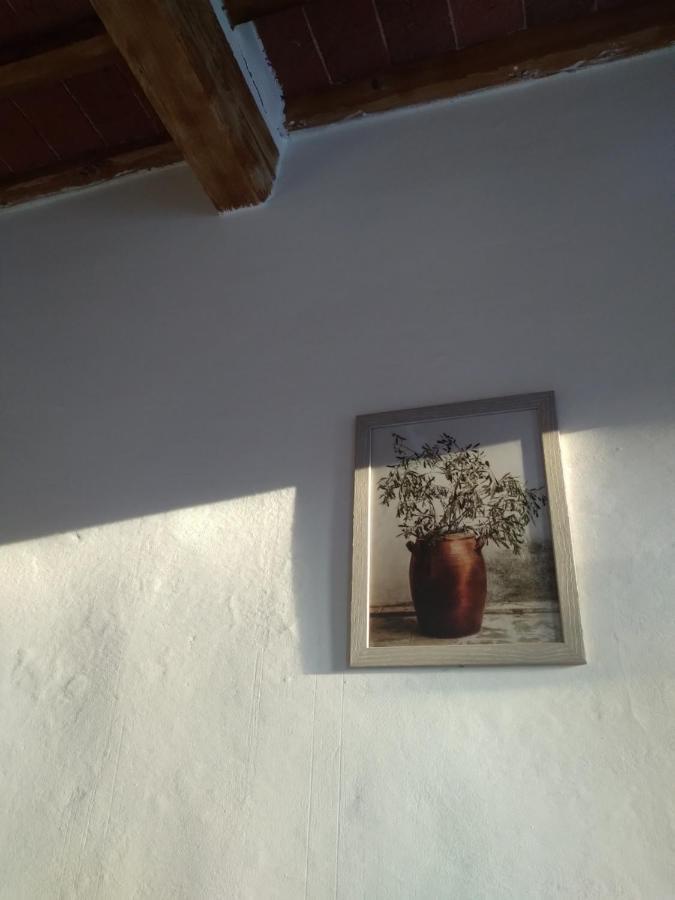 Lotte'S Guesthouse Livorno Ngoại thất bức ảnh
